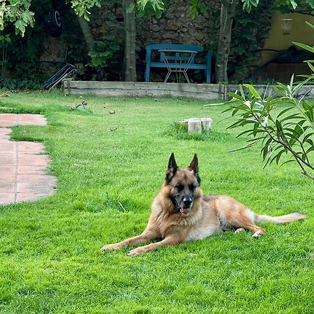 Santa Caterina - Dog Friendly With Garden Villa Sobrestany Exterior photo